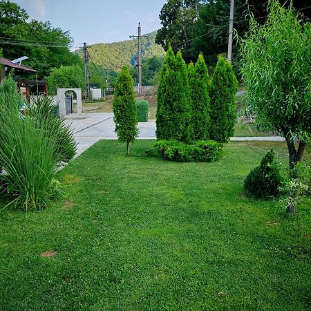 Taverna Gradetului Schitu Topolnitei المظهر الخارجي الصورة