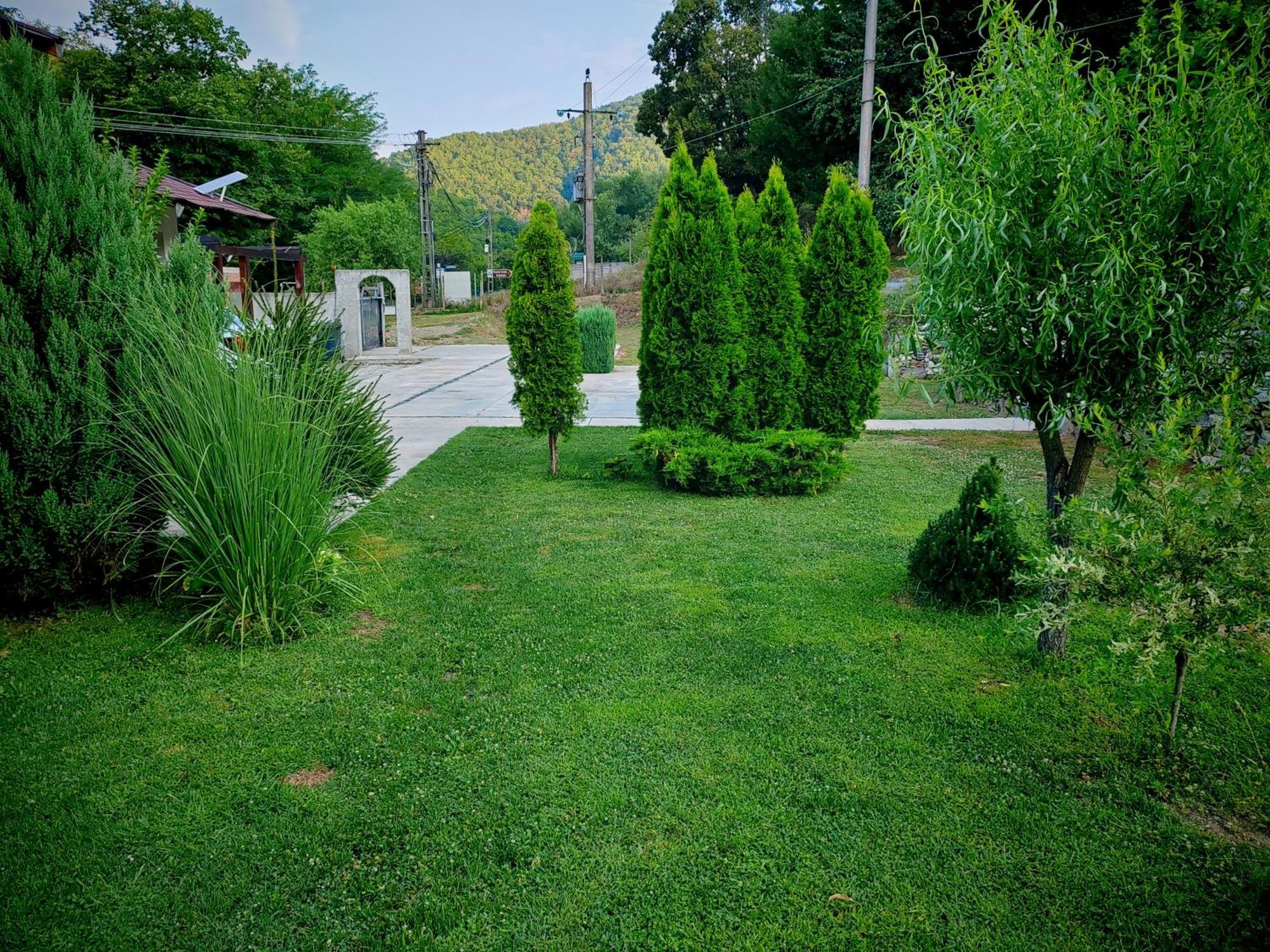 Taverna Gradetului Schitu Topolnitei المظهر الخارجي الصورة