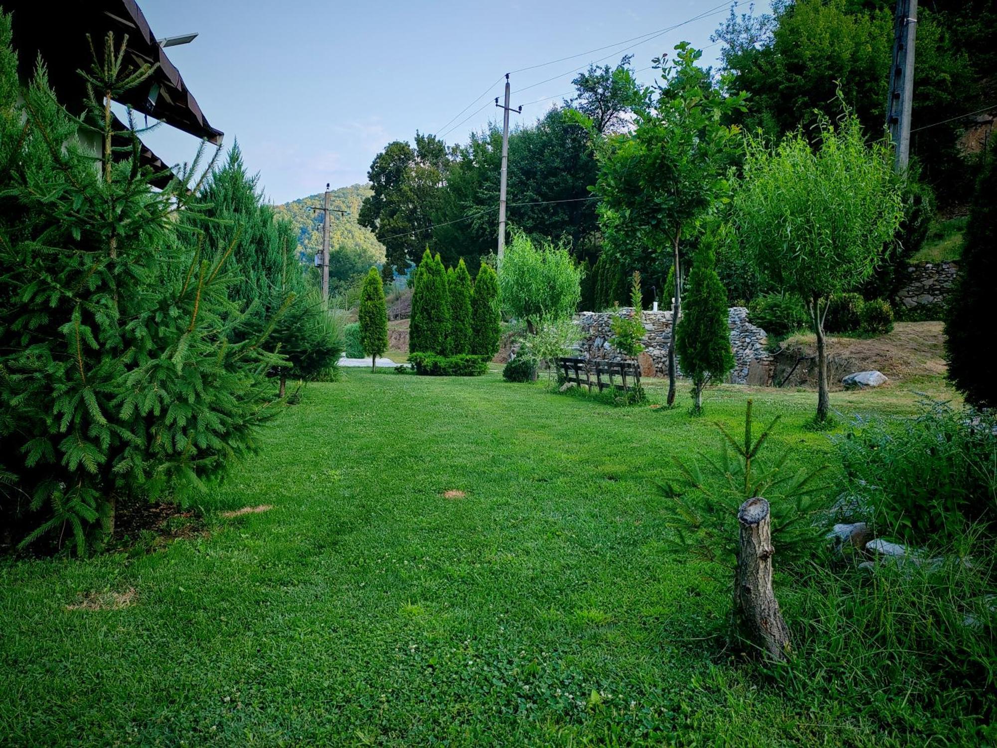 Taverna Gradetului Schitu Topolnitei المظهر الخارجي الصورة